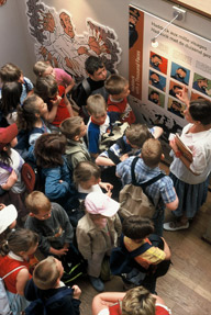 Guided Tours